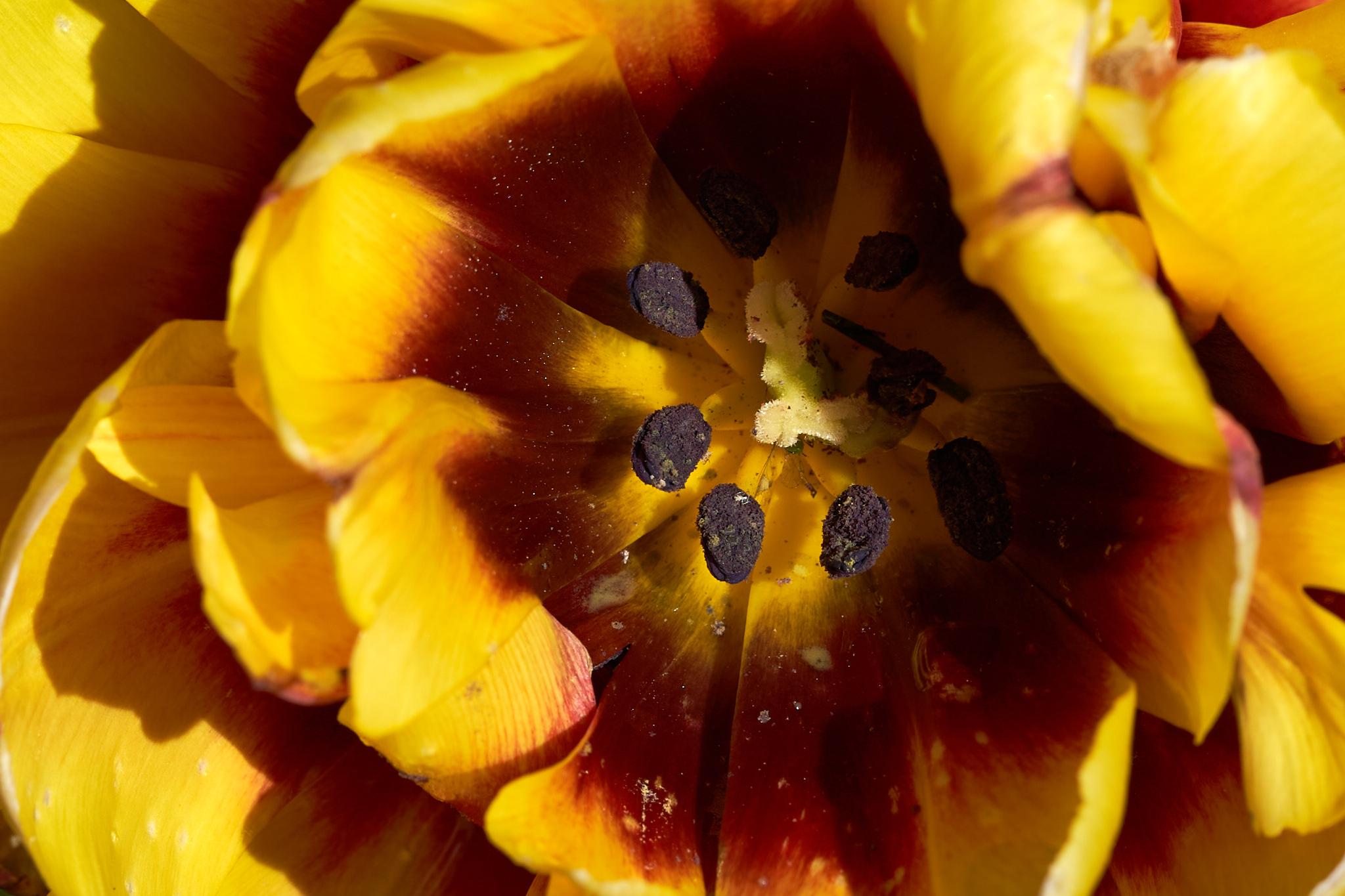 2022 05 08 Gruga 0053